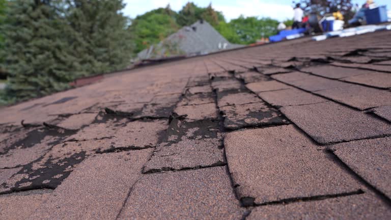 Best Wood Shake Roofing  in Moweaqua, IL