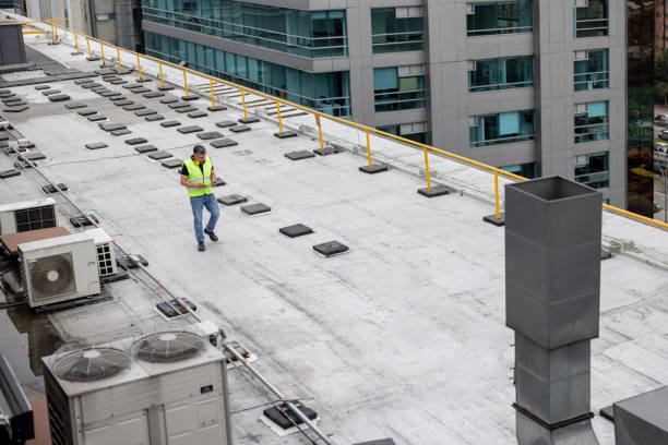 Best Skylight Installation and Repair  in Moweaqua, IL