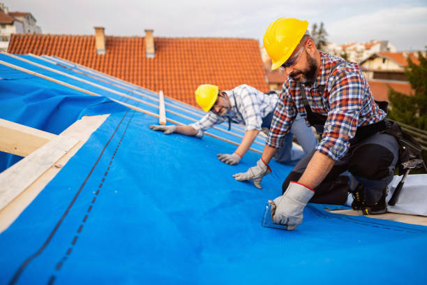 Best Rubber Roofing (EPDM, TPO)  in Moweaqua, IL