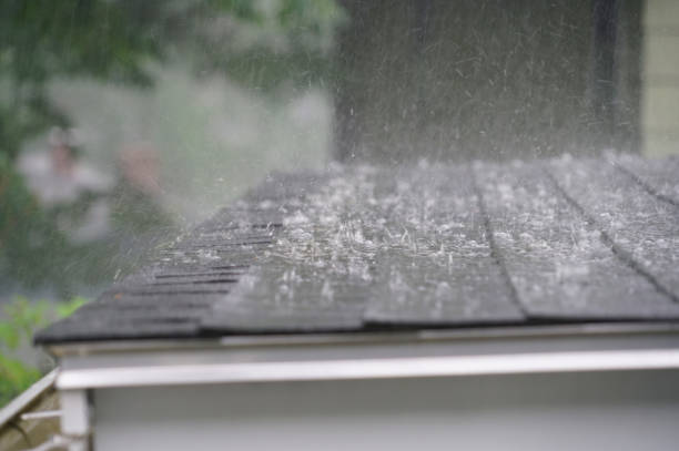 Best Roof Moss and Algae Removal  in Moweaqua, IL